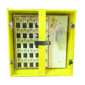 5S Box - Wall Mount - Padlocking - 24x24x10 - STANDARD IZ