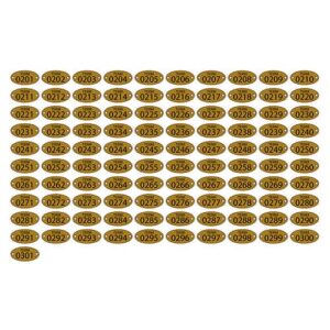 STANDARD - Perforated brass nameplate - 2x1.25 - STANDARD IZ
