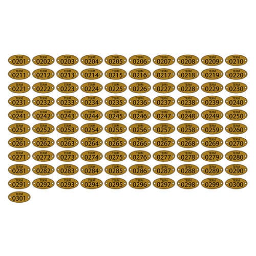 STANDARD - Perforated brass nameplate - 2x1.25 - STANDARD IZ
